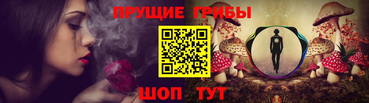 Рыбинск  Псилоцибиновые грибы Psilocybe  Вход с VPN  Галлюциногенные грибы мухоморы 